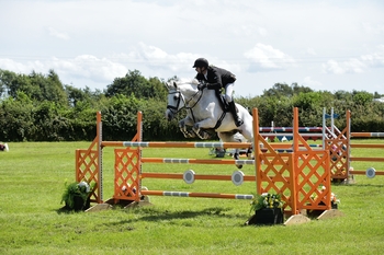 Steve Garrod races to a win in the British Horse Feeds Speedi-Beet Horse of the Year Show Qualifier at Ashby Show